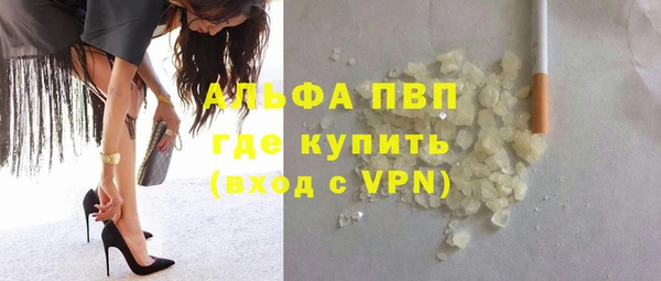 дмт Белокуриха