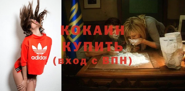 прущие грибы Белоозёрский