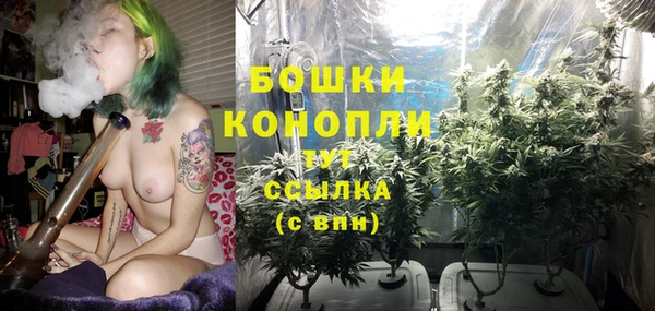 PSILOCYBIN Беломорск
