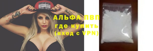 прущие грибы Белоозёрский