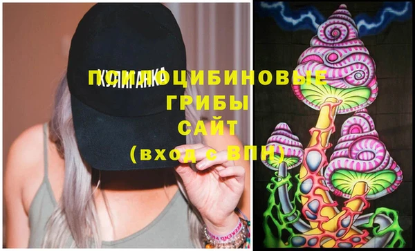 дмт Белокуриха
