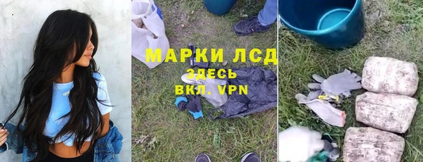 PSILOCYBIN Беломорск