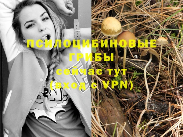 прущие грибы Белоозёрский