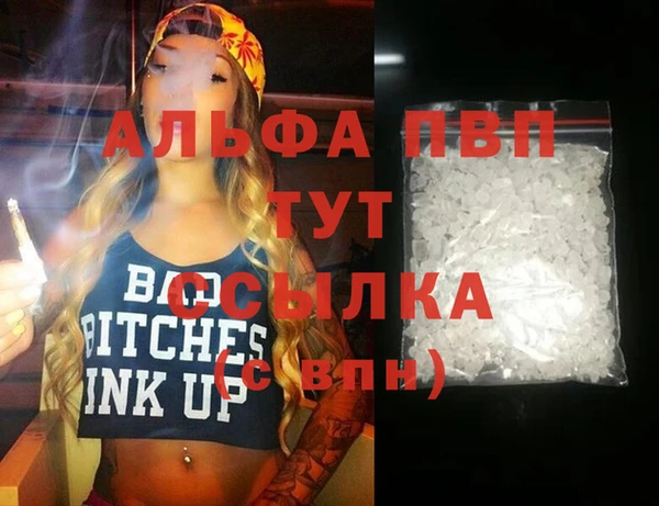 дмт Белокуриха