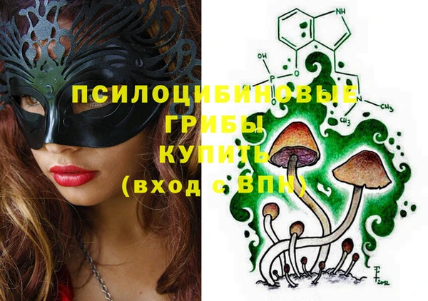 прущие грибы Белоозёрский