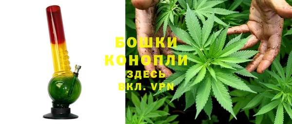 дмт Белокуриха
