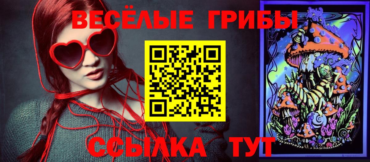 Псилоцибиновые грибы GOLDEN TEACHER Дальнегорск