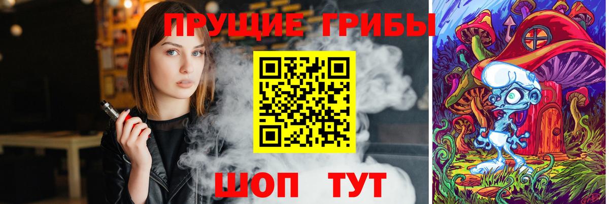 Галлюциногенные грибы Psilocybine cubensis Дальнегорск