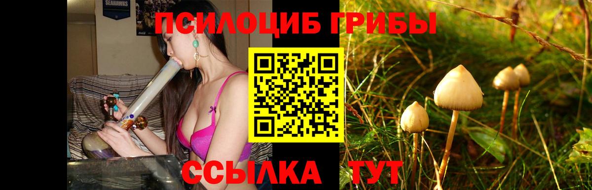 Псилоцибиновые грибы MAGIC MUSHROOMS  Дальнегорск  Галлюциногенные грибы мицелий 